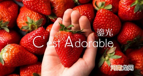 丹东草莓和红颜草莓区别 丹东草莓和红颜草莓有什么不同