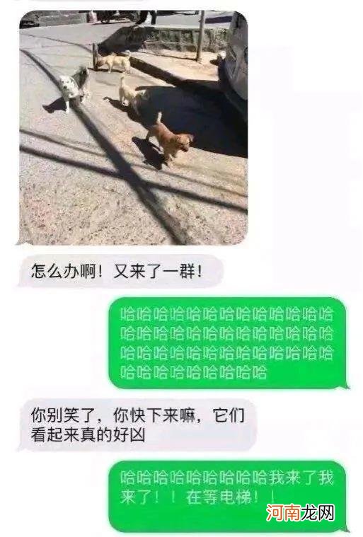 那些搞笑的送餐图片 搞笑照片