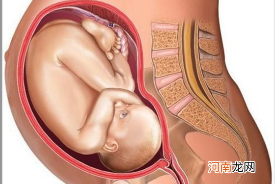 怀孕1一9月肚子变化图 宝宝的成长振惊到我了