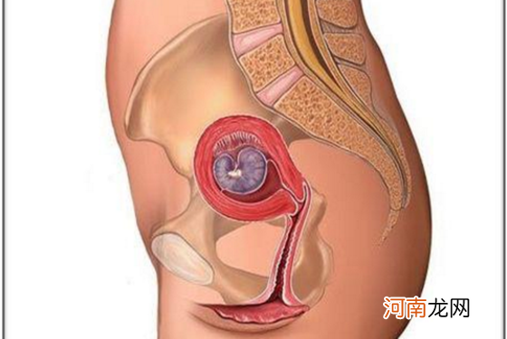 怀孕1一9月肚子变化图 宝宝的成长振惊到我了