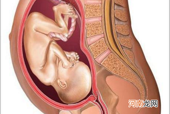 怀孕1一9月肚子变化图 宝宝的成长振惊到我了