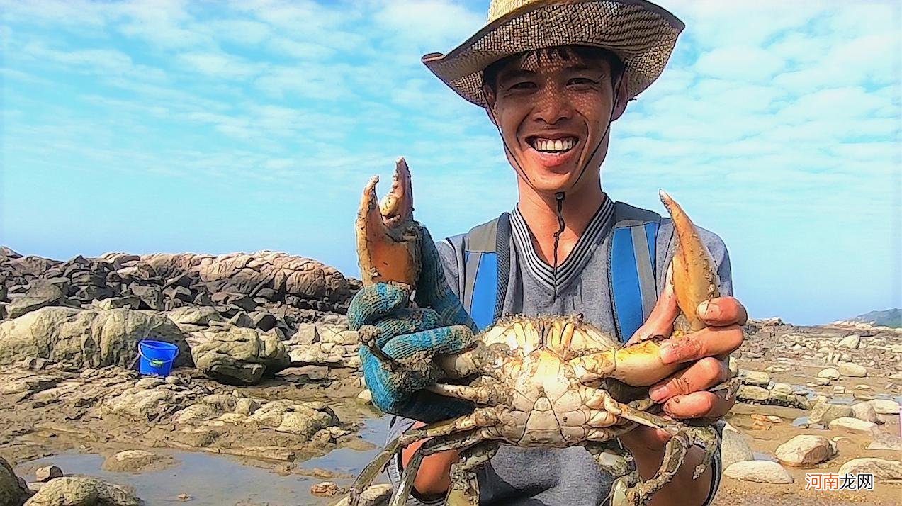 海边捡的小螃蟹不要扔 海里捡的小螃蟹怎么吃？