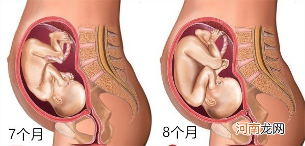 怀孕1～10月肚子变化 图文解读胎儿发育全过程