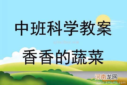 小班主题活动魔术师教案反思