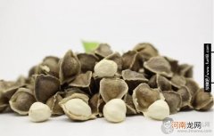 辣木籽的功效作用和食用方法