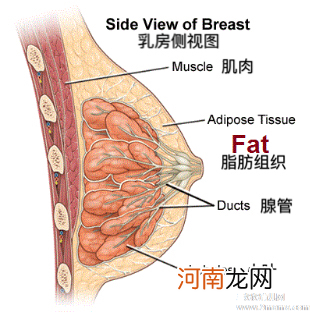 孕妈妈乳房肿胀应该怎么办