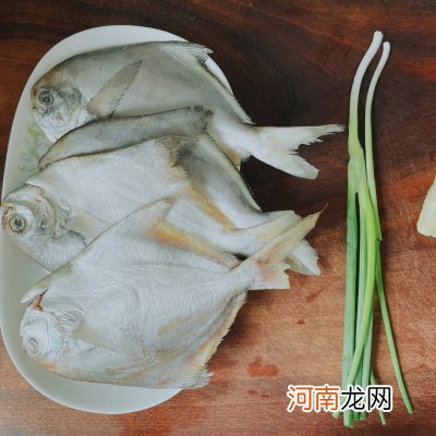 简单易做的红烧鲳鱼 鲳鱼怎么做好吃又简单