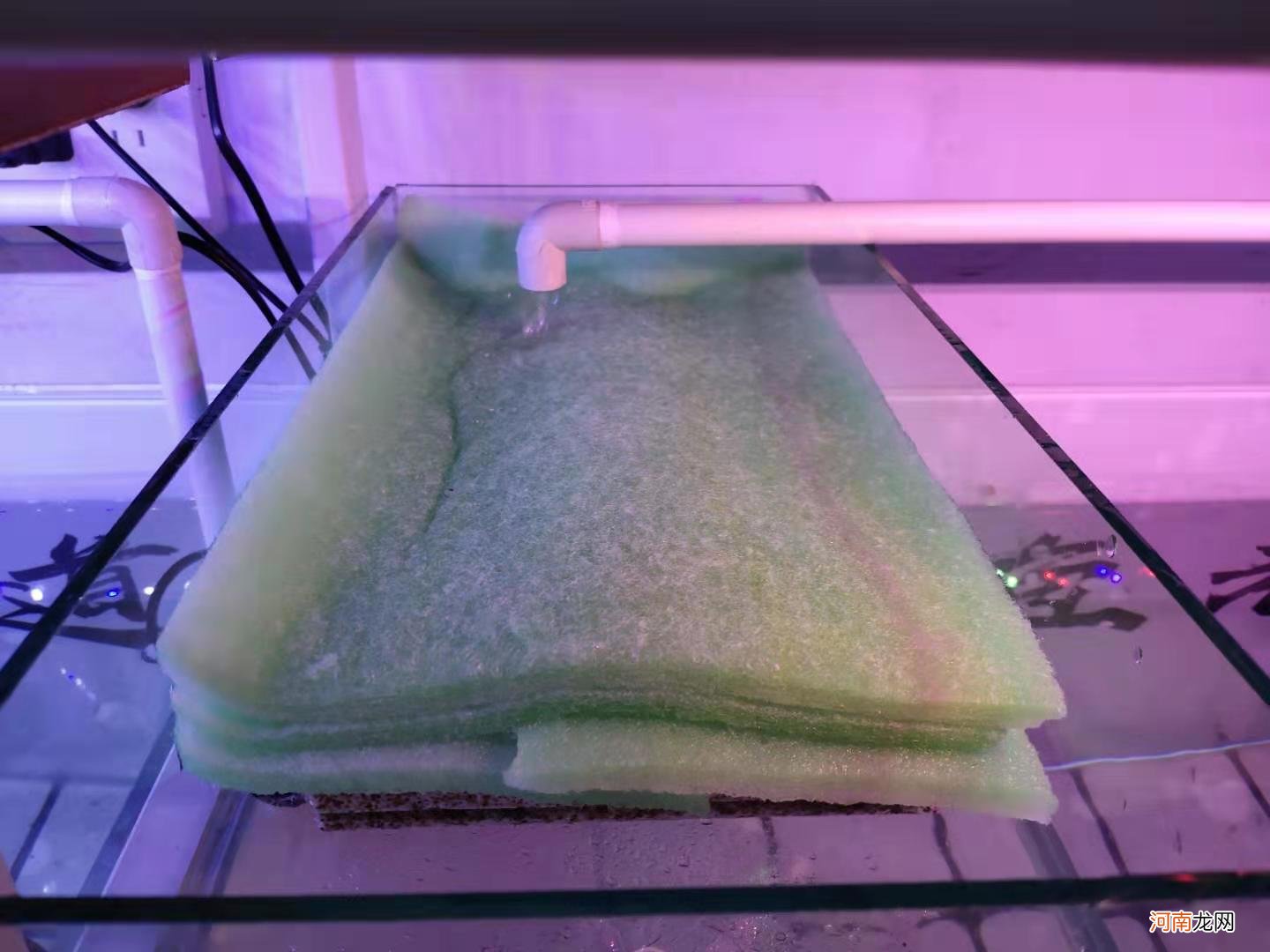 虽然只是最简单的上滤，但也能达到高效的物理过滤效果