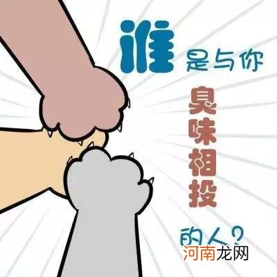 臭味相投形容同类相聚的褒义词 臭味相投是什么意思