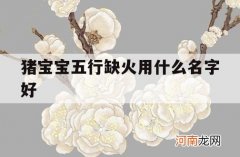 猪宝宝五行缺火用什么名字好_属猪五行缺火男孩名字