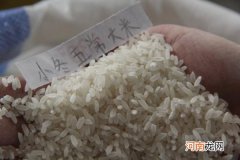 新大米和陈大米的区别 新大米和陈大米有什么不同
