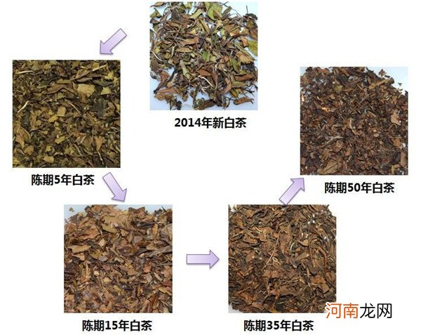 白茶茶饼制作工艺 白茶做成饼茶的工艺流程