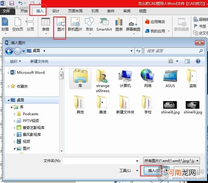 怎么把CAD图导入Word文件
