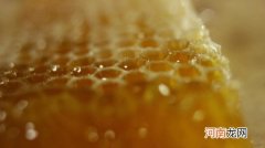 椴树蜜和普通蜂蜜的区别 椴树蜜和普通蜂蜜有什么不同