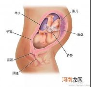 怀孕16周胎儿的发育情况及护理