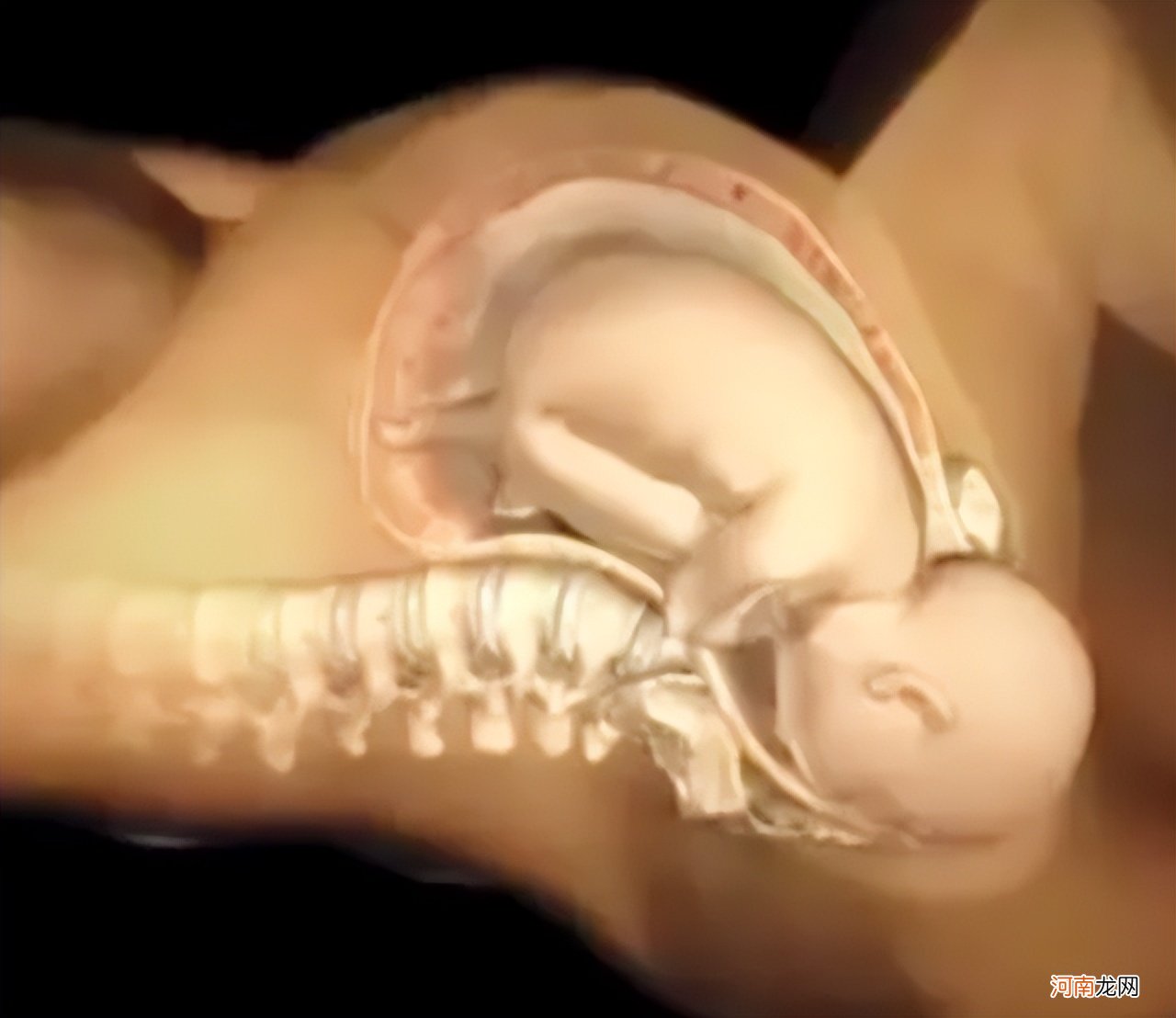 分娩时，为啥都是胎宝宝“头”先出来而不是脚？原因挺有意思的