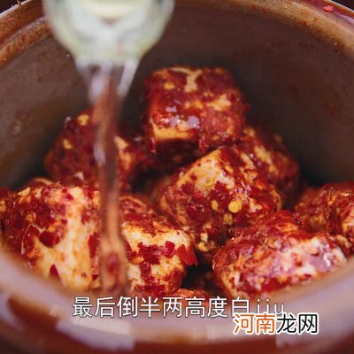 湖南特色霉豆腐 湖南豆腐乳的做法大全