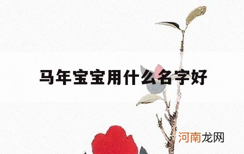 马年宝宝用什么名字好_马年宝宝小名