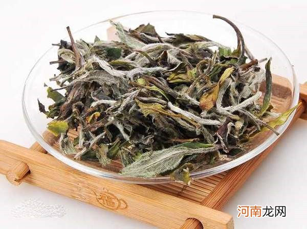 正宗的福鼎老白茶 茶友们所热捧的老白茶究竟是什么？