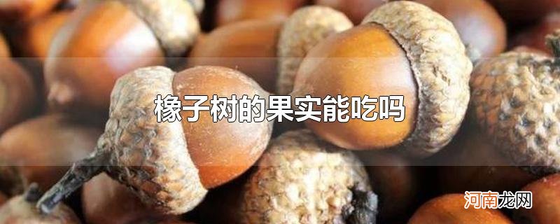 橡子树的果实能吃吗