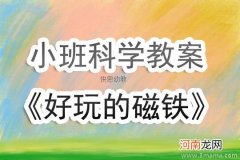 中班科学活动好玩的磁铁教案反思