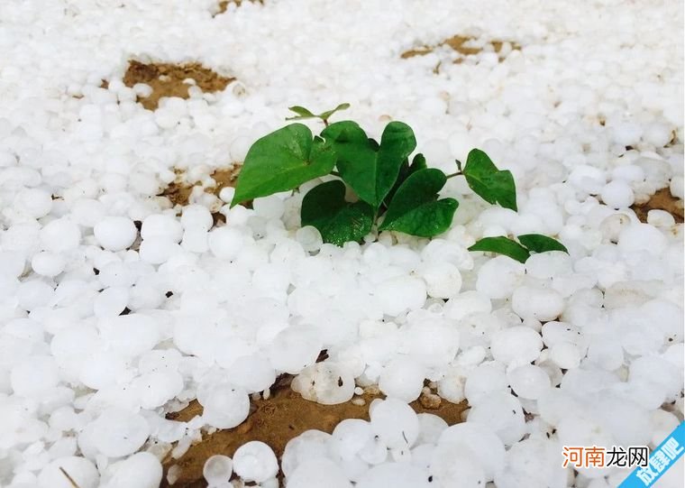 冰雹是怎样形成的