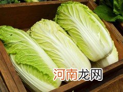 4道白菜的做法简单又美味 家常菜白菜做法大全