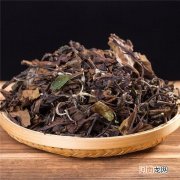 春白茶里的特色 春白茶常见的品类有哪些？