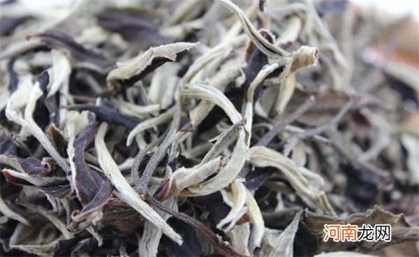 春白茶是从清明节开始采摘 春白茶什么时间开采？