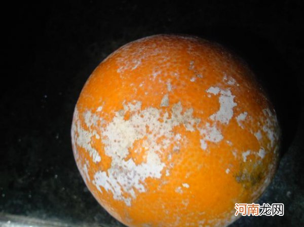 橙子外面一层白色的是什么 橙子外面的白色东西是什么