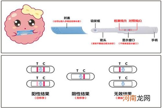 验孕棒一浅一深的原因 与这三种情况息息相关