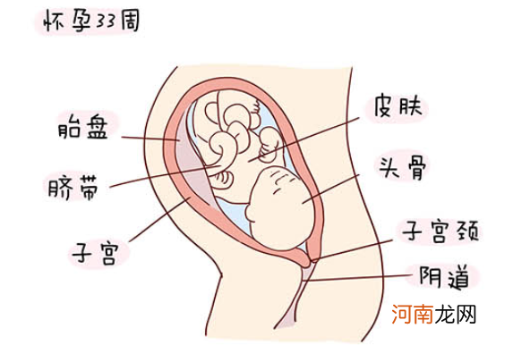 怀孕1一40周全过程图 史上最全的高清胎儿发育图