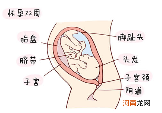 怀孕1一40周全过程图 史上最全的高清胎儿发育图