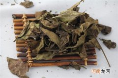 白茶的养生功效 从中医角度看白茶