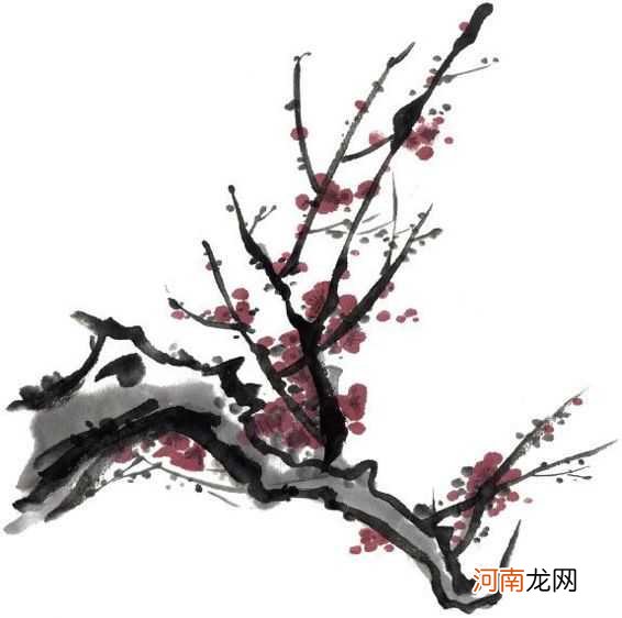 详细讲解梅花的五种画法 梅花画法步骤大全