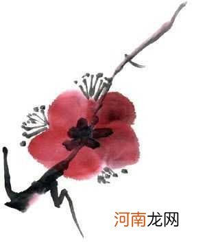 详细讲解梅花的五种画法 梅花画法步骤大全