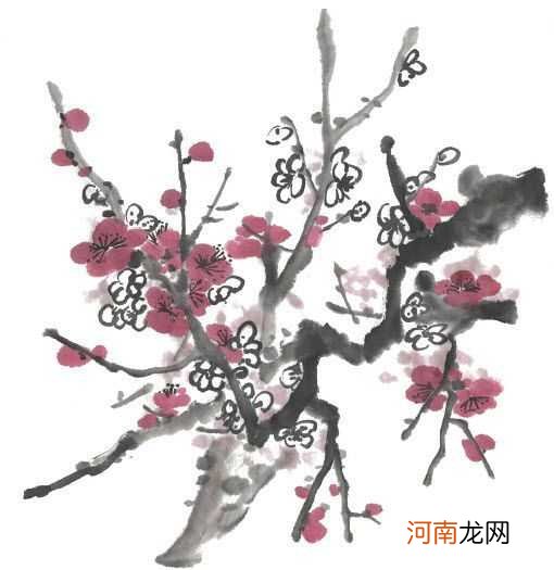 详细讲解梅花的五种画法 梅花画法步骤大全