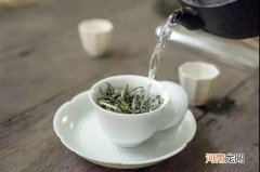 白茶怎么泡才正确方法