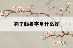 狗子起名字用什么好_狗狗起什么名字好听?