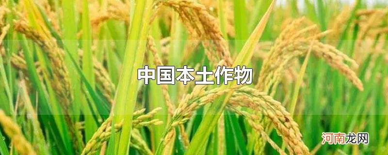 中国本土作物