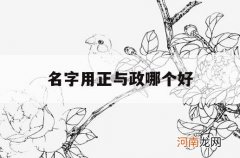 名字用正与政哪个好_政字用在名字里好不好