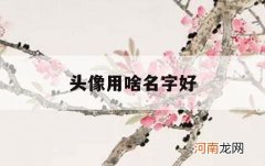 头像用啥名字好_头像用什么名字好听