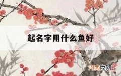 起名字用什么鱼好_给鱼取名字取什么好?