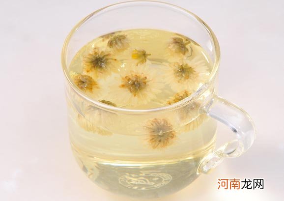 白菊花茶的功效与作用