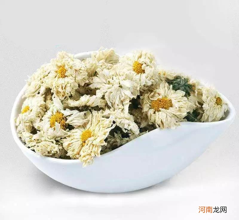 白菊花茶的功效与作用