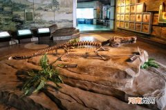 中国第一个县市级恐龙博物馆是 中国第一个县市级恐龙博物馆是哪一个