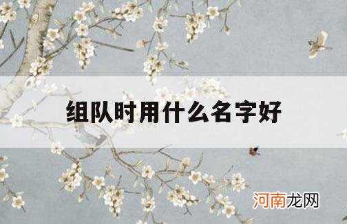组队时用什么名字好_组队队友名字