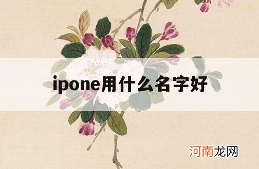 ipone用什么名字好_iphone几代最好用