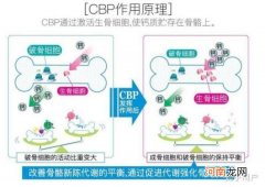 初乳碱性蛋白羊乳钙片