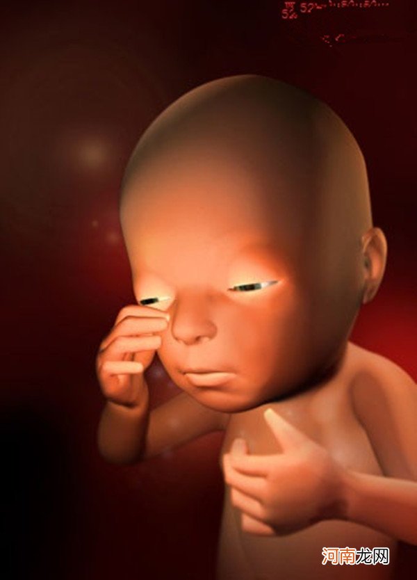 1—40周胎儿发育图 胎儿在子宫内发育全过程3D图